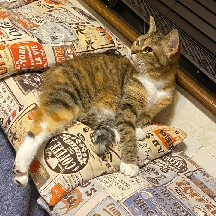 Bbec5b49 dec8 49d3 ae10 0bcf5c6cce27 1618570721741