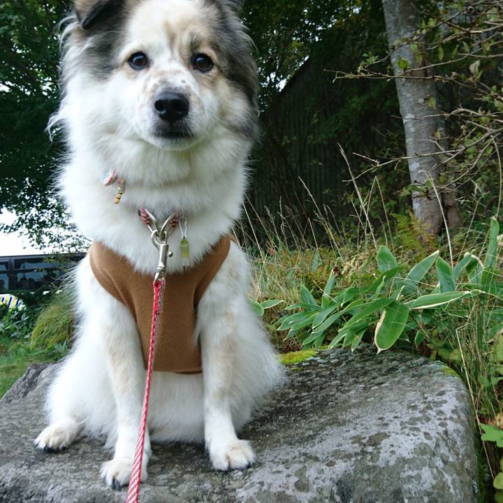 Bbec5ddf ef9c 49bd a645 a896808f38bb 1528203968069