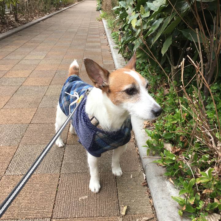 Bbec7bfb 3dc3 457f a8a0 9aadce1d17ee 1552202981852