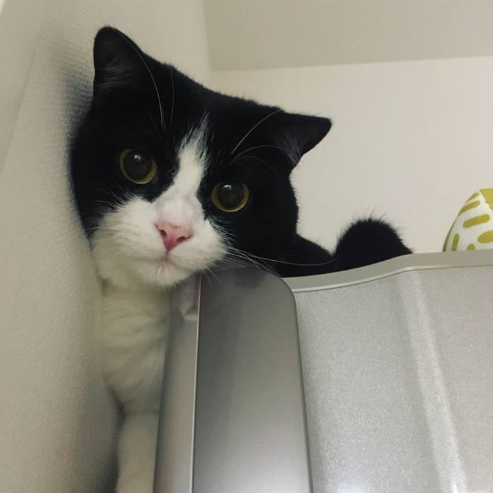 Bbec8569 65e9 4dab 8285 4166c3b5c7fd 1600474805087