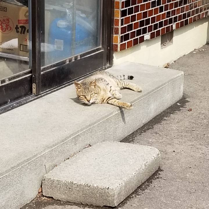 Bbec89b1 80dd 416d 9647 01c23d05411e 1681917378195