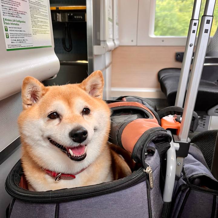 Bbece358 8a9c 4deb a7c4 a4961fcad9e5 1655534811602