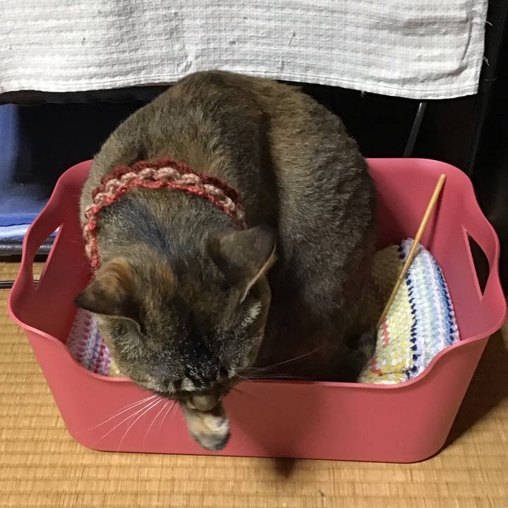 Bbed0d80 e18e 44ed 89e4 46c438ec8922 1627726442202