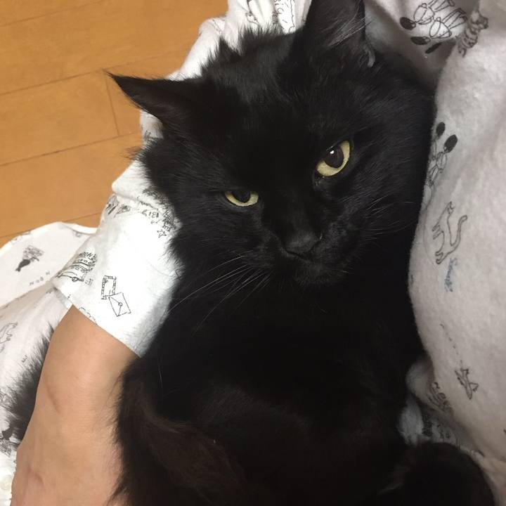 Bbed2214 a2c7 4f8e 8fbd e3ab7cdfa66e 1509972222078