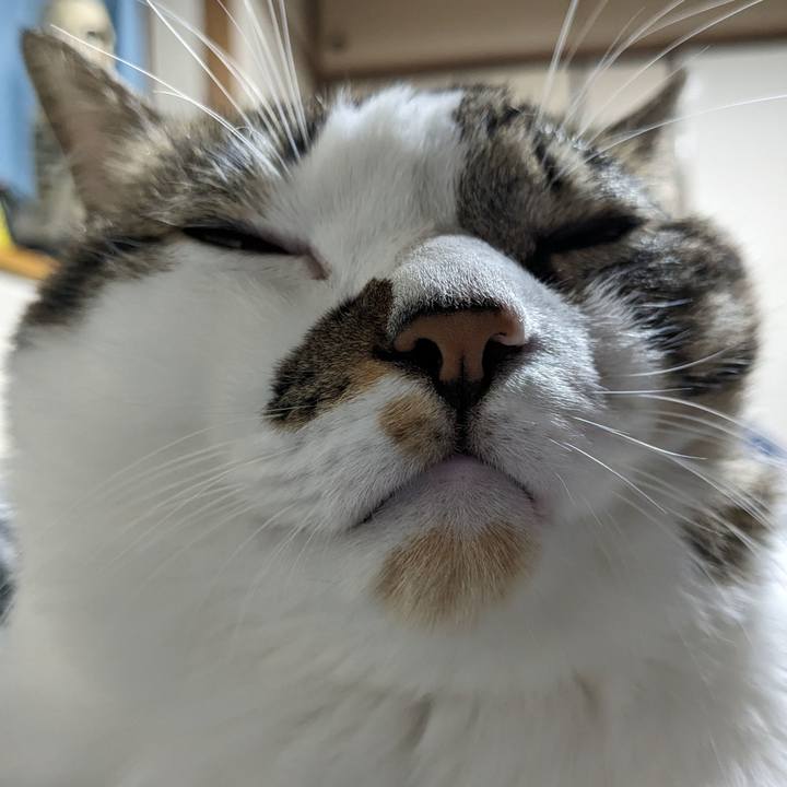 Bbed3fd0 ca32 439b 8662 5a034b2e8dc8 1699746032715