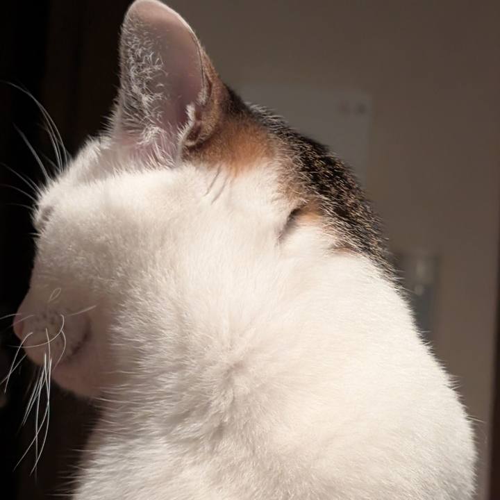 Bbed41d3 816e 4f70 82b1 5325b5d61240 1760720895193