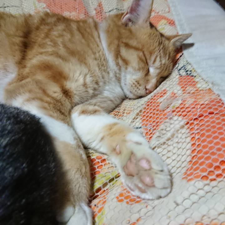 Bbed6275 574e 45a6 bfdc 6813079fdada 1577365939161