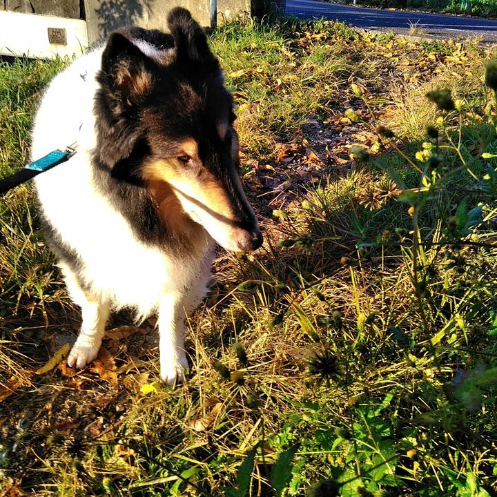 Bbed698b 9c89 4560 91e9 362363777bbe 1510059707172