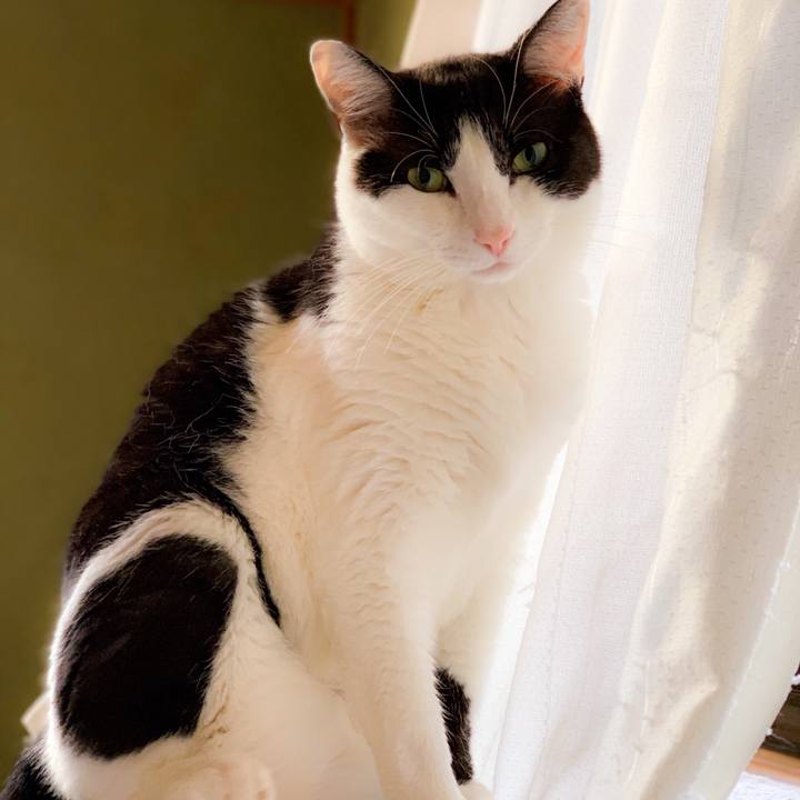 Bbed7bd1 2013 4fab a660 ebc8d884cbd9 1562722343378