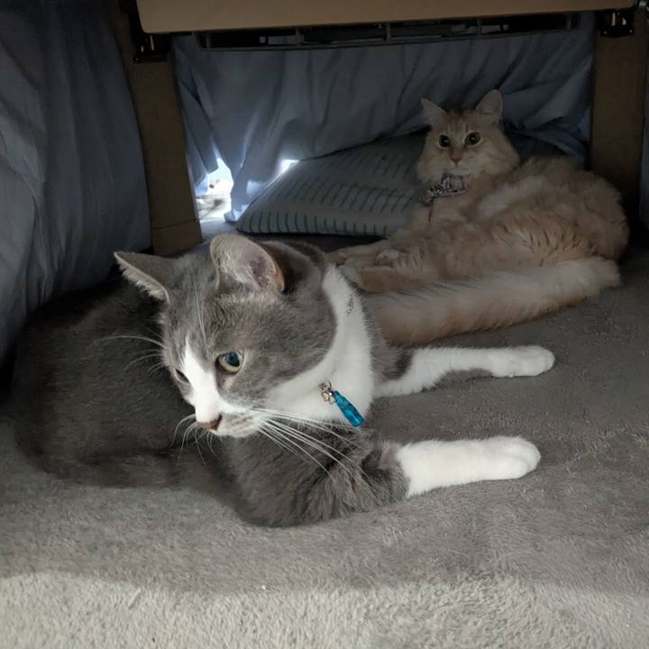 Bbed8b6b bd18 4b9d 9bc3 b7a8583a0935 1766192218915