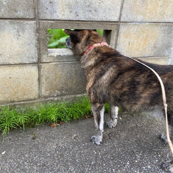 Bbedcc82 9552 4248 8951 600a8cd3f284 1595496150995