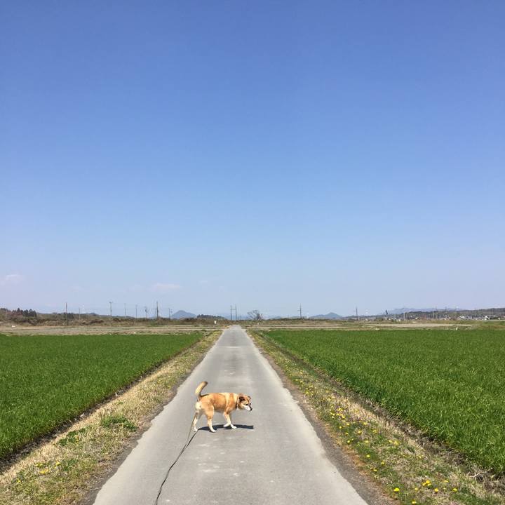 Bbede96d 6393 437a 9e4a 87b753ea232c 1554347654874