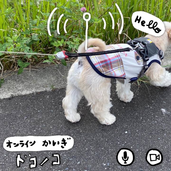 Bbedfdaf bcfd 431d be36 b0c5055ce841 1590760483523