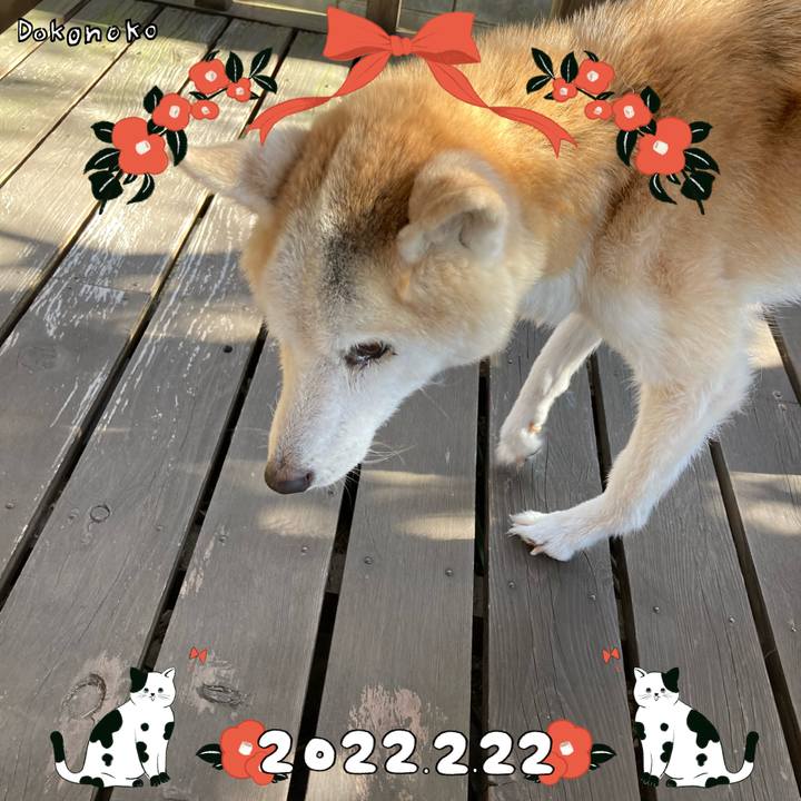 Bbedff0a 4197 4758 8b32 eb46962fcea9 1645500672957