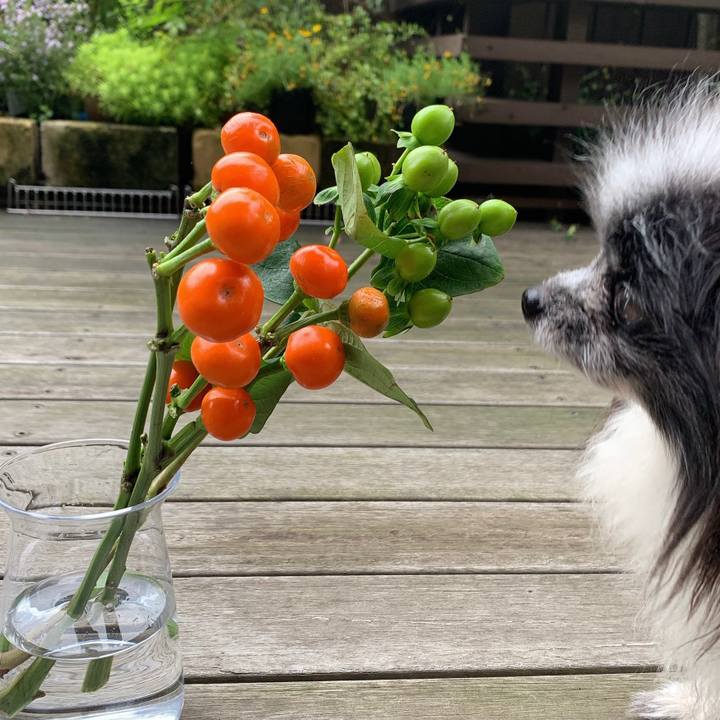 Bbedff14 ee8c 4c80 bb60 daa4344d7fc9 1631414151247