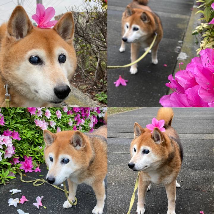 Bbedff44 e632 4309 adc3 ddc063b3a29f 1714180364023