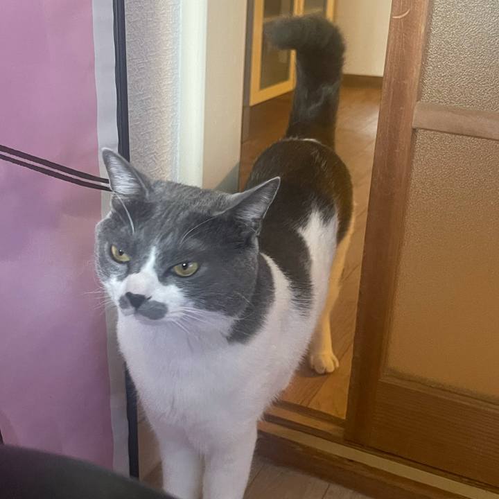 Bbee1eea 9d03 40c6 91c4 8ff7b56b4bf9 1626224622722