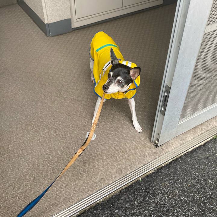 Bbee3a59 4b5f 4943 8810 19bdd53bfbf6 1591913850084