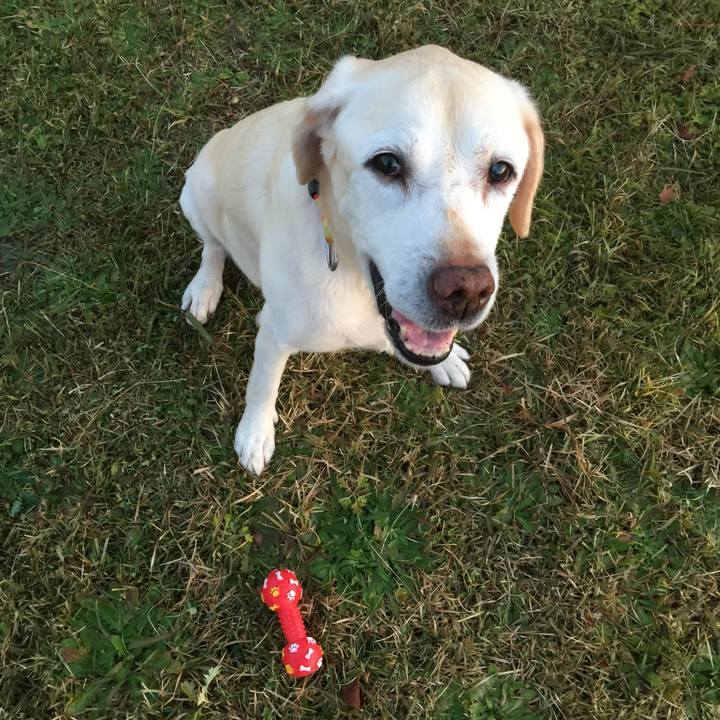 Bbee50a4 6f58 45ff 8dd6 af2751cd6c69 1512338722339