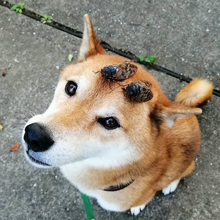 Bbeebfdd 7bcd 466e 8893 bcc2548b3c94 1629370311562