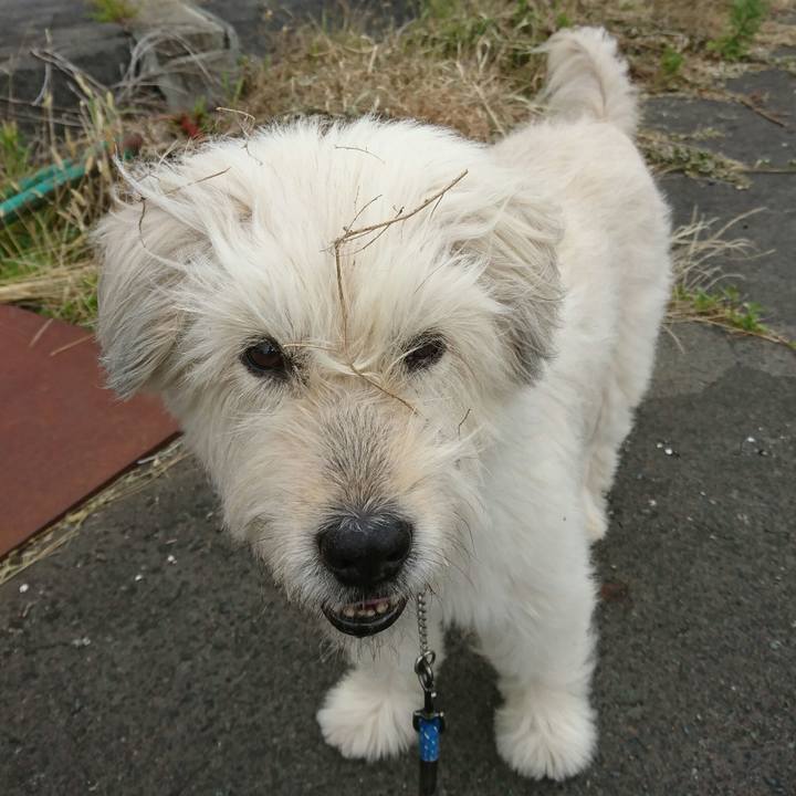 Bbeec712 03fa 4fb7 a832 d9b57588c310 1562930331019