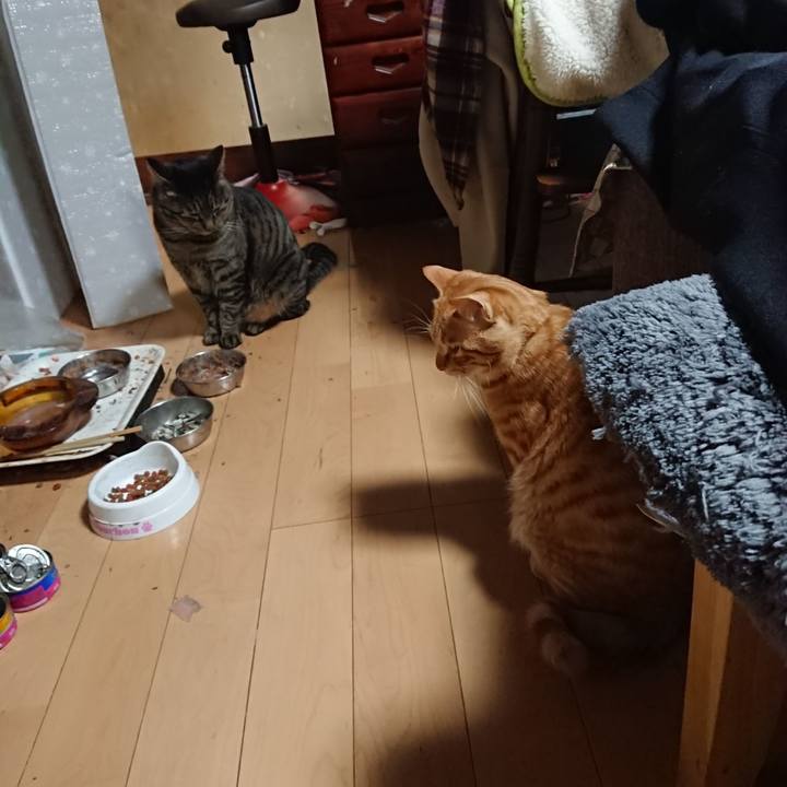 Bbeed5c7 76e6 4b30 82a0 0472c3666983 1642501459654