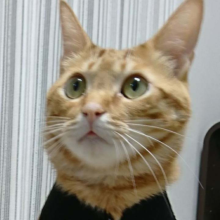 Bbeedb58 9e51 41d2 bf2d 018bcfdc15e4 1521241046675