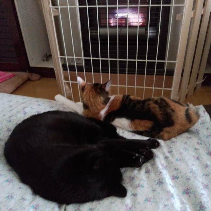 Bbeee44b 145b 4688 9aa7 95b1613ffee3 1573130191384