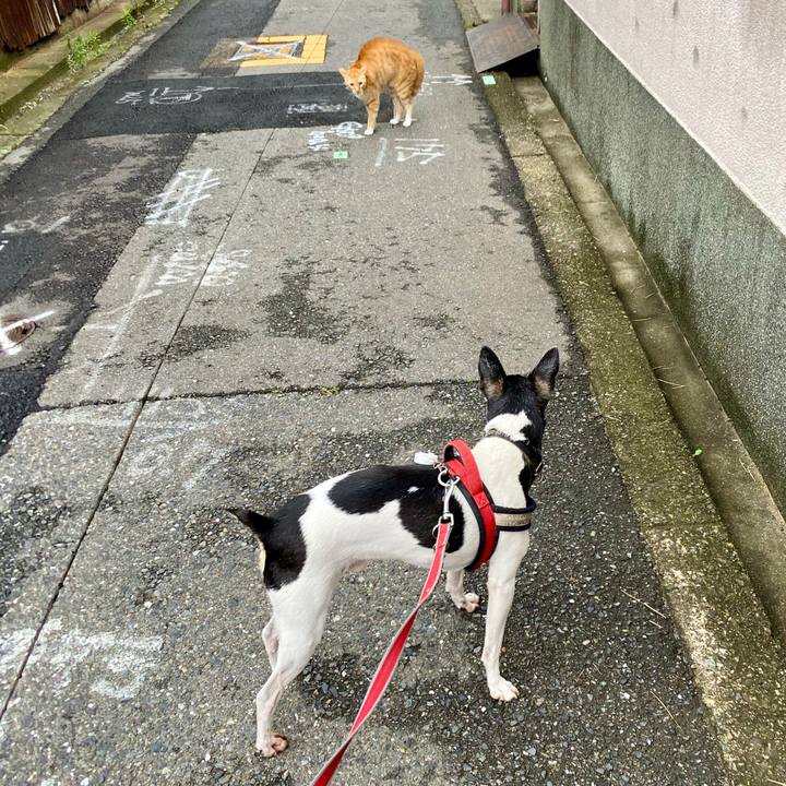 Bbef3f8a 8b4c 4e9d b35b efe176c77ec0 1594007317495