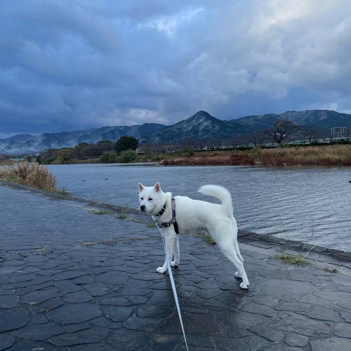 Bbef4296 3b08 4081 b6b0 34b7182d18ed 1671318909861