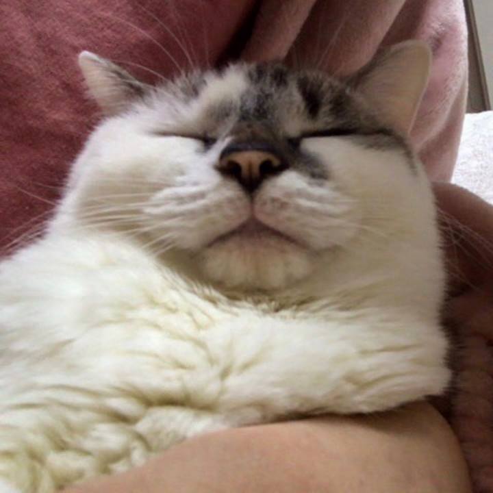 Bbef466d 6ac8 49d4 bf98 4e0557a4a38e 1545446936835