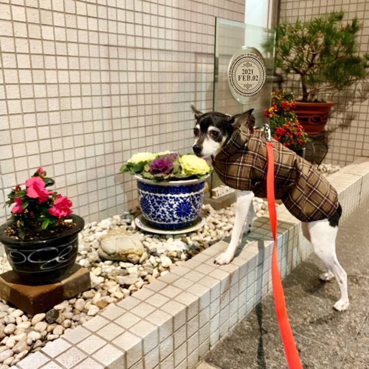 Bbef5c48 f5af 40c2 89e6 e764e4451c76 1612217199512