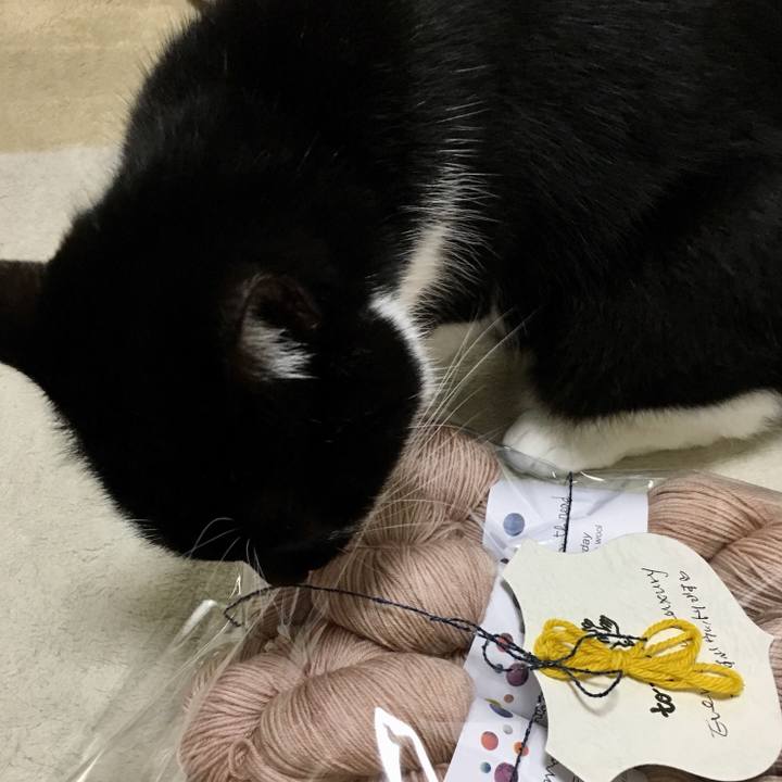 Bbef5cd1 4d2d 48de a1e2 63ef35ceff46 1519878528718