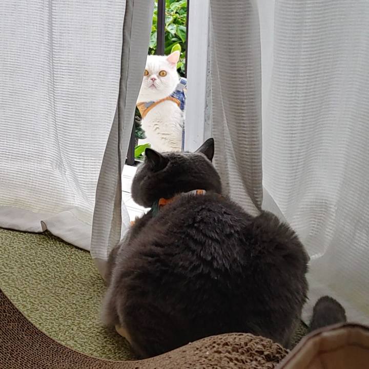 Bbef605a 29db 4eef a0b8 c8fc8503d51d 1654382514713