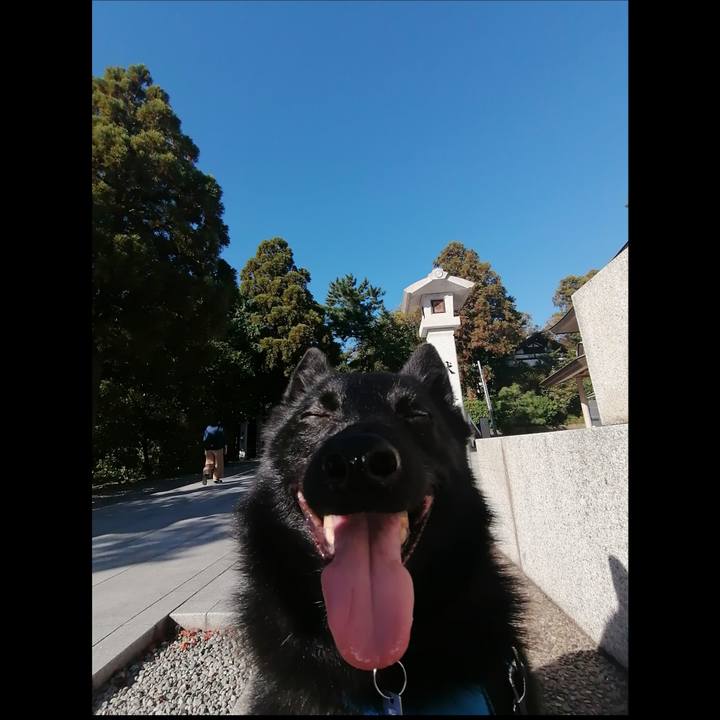 Bbef71fc eb7f 436f 9ff8 cda1894b00de 1633822214252