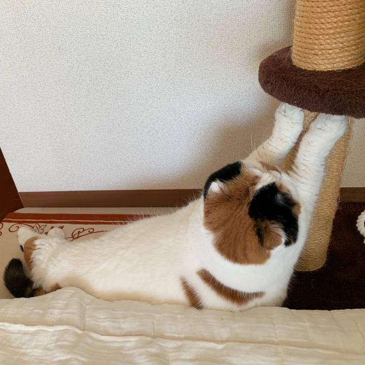 Bbef7c34 8c34 4b3c b2cc 6a6faf064343 1578625206582