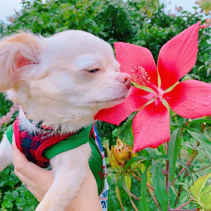 Bbefc528 9d5f 4c6e 85e3 dbbc3b2e4826 1629113308729