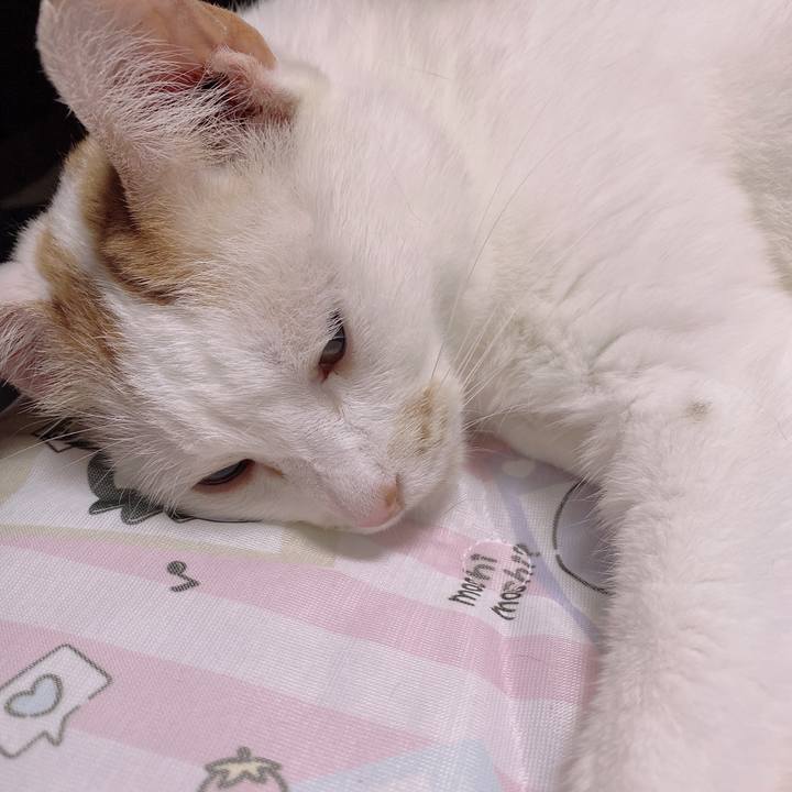 Bbefc918 3cc1 410c 96ad 370fee9fd2cc 1653916738591