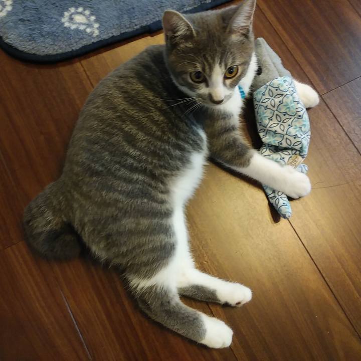 Bbefdaaa 704e 4651 b109 93465977fca5 1568848229345