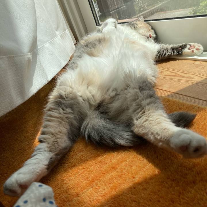 Bbefe614 7924 4415 907d b5aeaff159bc 1688078319693