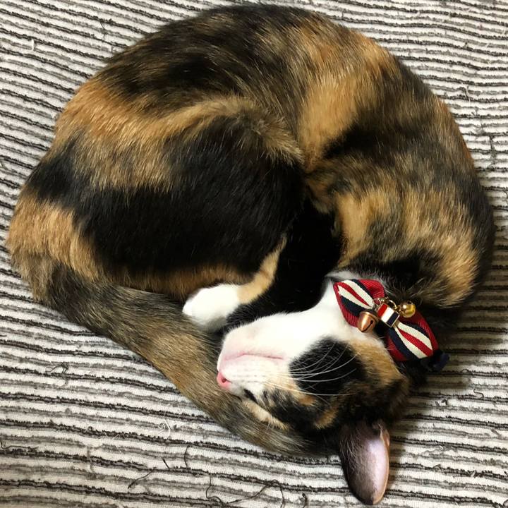 Bbf0119d cda3 4956 8836 ca751b82a28e 1566737306026