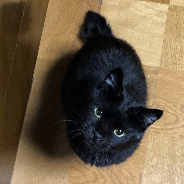 Bbf02fc9 121c 4d00 8526 c2dc86c119c8 1569938272604