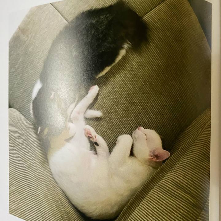 Bbf05279 fc7f 41fd b022 dcccd8781910 1665178613131