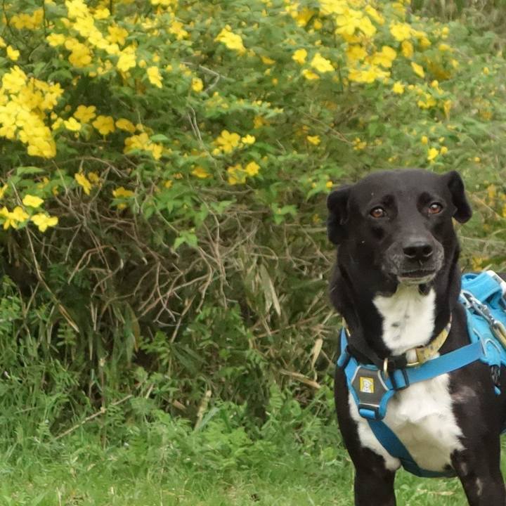 Bbf06d5e e31e 4b2d b7af 185e328781b9 1617065952967