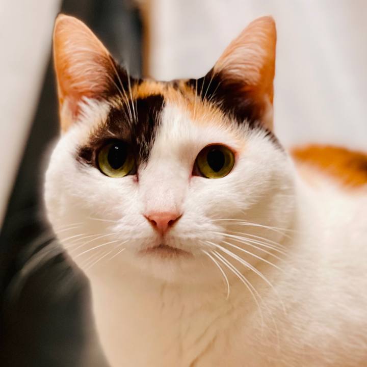 Bbf0ae98 edf7 4d0e 8b9a 3b464ba1354f 1614391141088