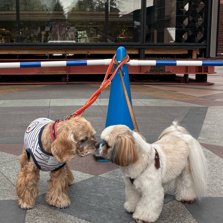 Bbf0c27c 0c6f 4756 b77b b968c0e6ce60 1762094788538