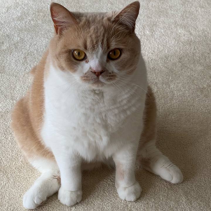 Bbf0fa46 3e11 4c40 acbb f56627f99942 1611713488365