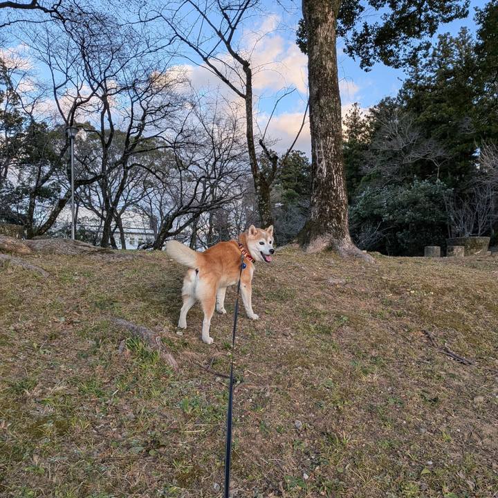 Bbf161c7 df15 4724 b03f 0b9ba35872c2 1768995862144