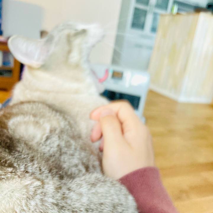 Bbf1631f a7e5 446a 8fc8 2c5884be55fc 1608981288676