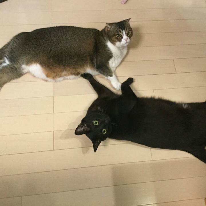 Bbf19341 d201 4222 9f39 91314ed98e05 1543877413825